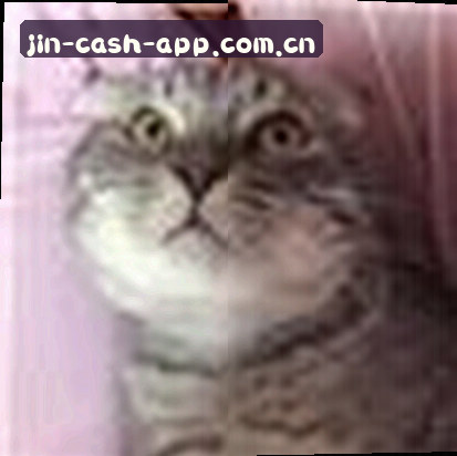 刘鹏